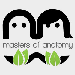 masters of anatomy book 1 link